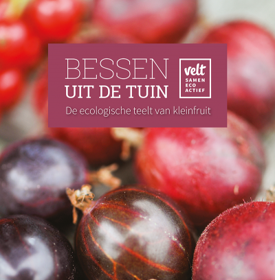 bessen uit de tuin