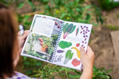 Moestuinkalender