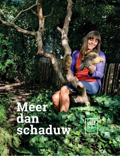 Meer dan schaduw (cover)